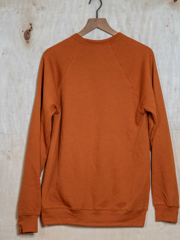 Handprinted Sweatshirt | Take me to the Music | Unisex Tri-Blend |  Rust | ALMOST GONE!